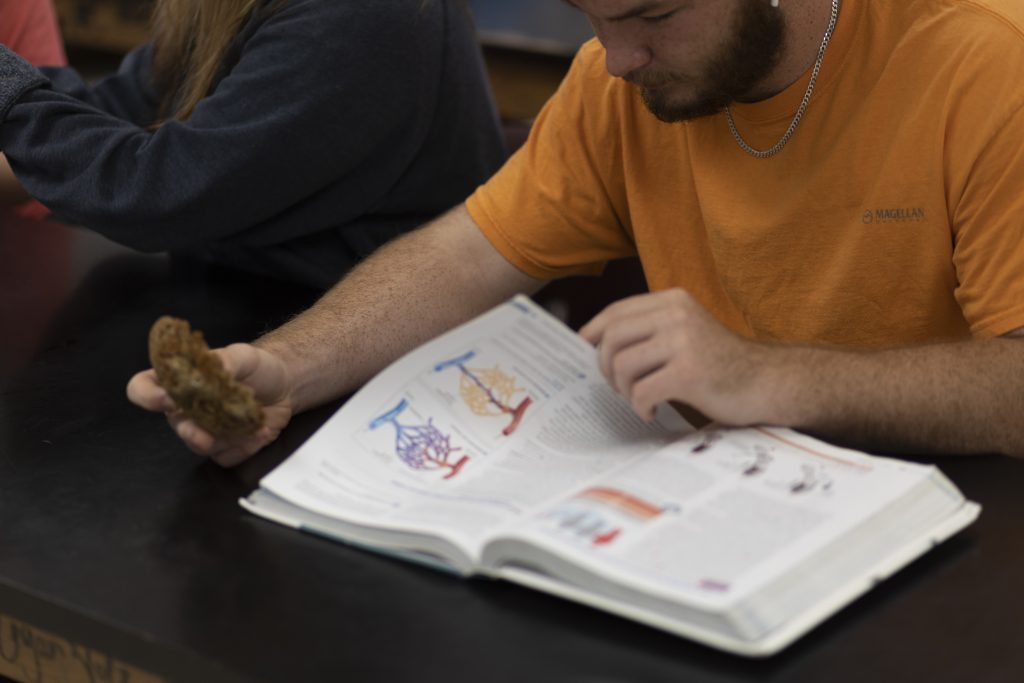 A male student reading science text book.